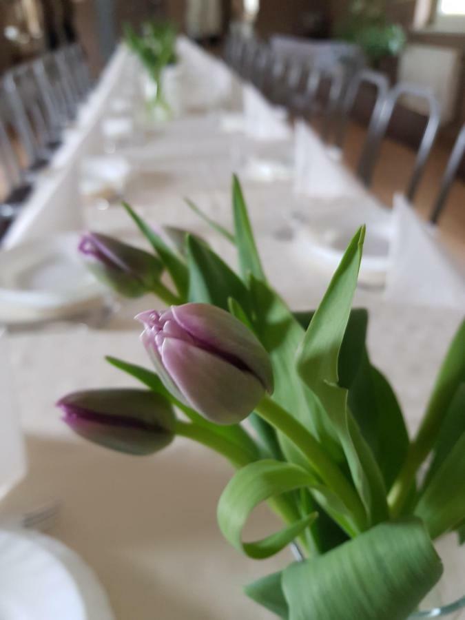 Hotelik Pod Baranami Siechnice Buitenkant foto